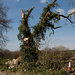 April2016-2 After Storm Katie (2) by jqf