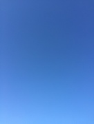 3rd Apr 2016 - Blue sky SOOC
