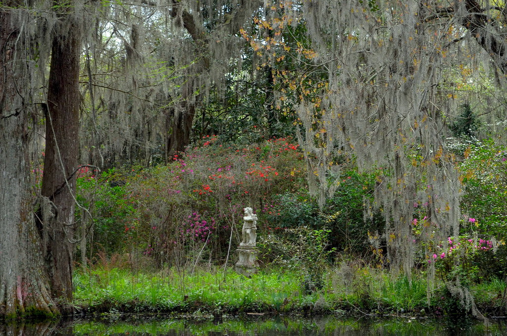 Magnolia Gardens by congaree