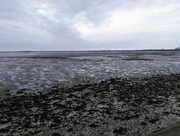 3rd Apr 2016 - Mudflats on the marshes