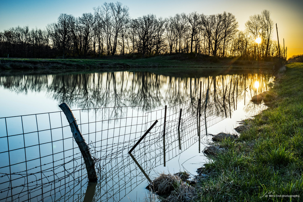 Fence Submerged by jae_at_wits_end