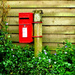 A rural postbox... by snowy