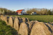 3rd Apr 2016 - Sun rising over Braun farm