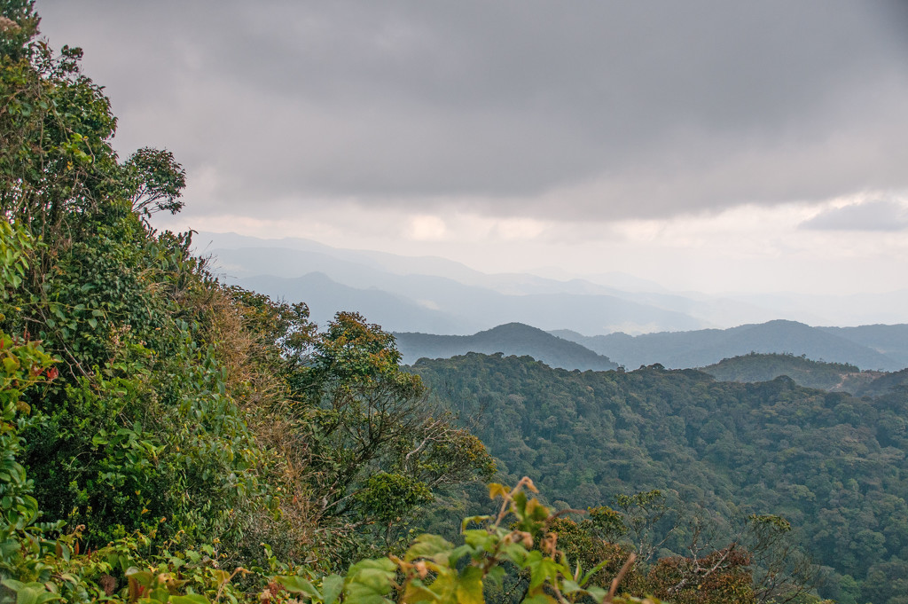 View from Gunung Brinchang by ianjb21