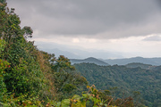4th Apr 2016 - View from Gunung Brinchang
