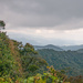 View from Gunung Brinchang by ianjb21