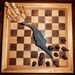 Kitty's top chess tips No. 2 by swillinbillyflynn