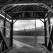 Inside the covered bridge by mittens