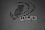 13th Apr 2016 - Owl and the Pussy Cat