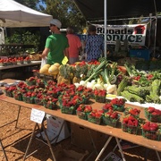 17th Mar 2016 - Englewood, Florida Farmer's Market