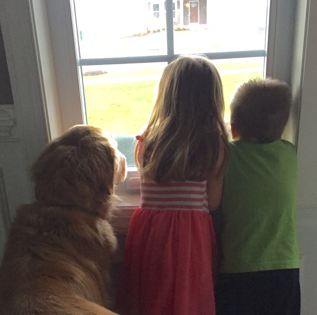 Waiting for mommy to come home by dridsdale