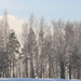 Frosty trees by annelis