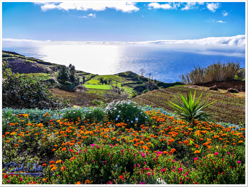 Ocean Vista,Madeira (best viewed on black) by carolmw