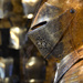 Gilt armour of Charles I, about 1612 by vera365