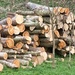Log pile by 365projectdrewpdavies