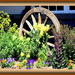 Wagon Wheel Garden by vernabeth