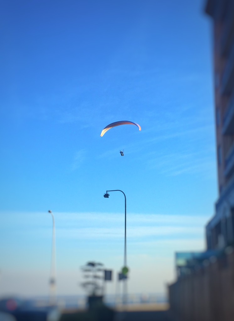 Paragliding  by susiangelgirl
