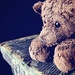 Teddy by kwind