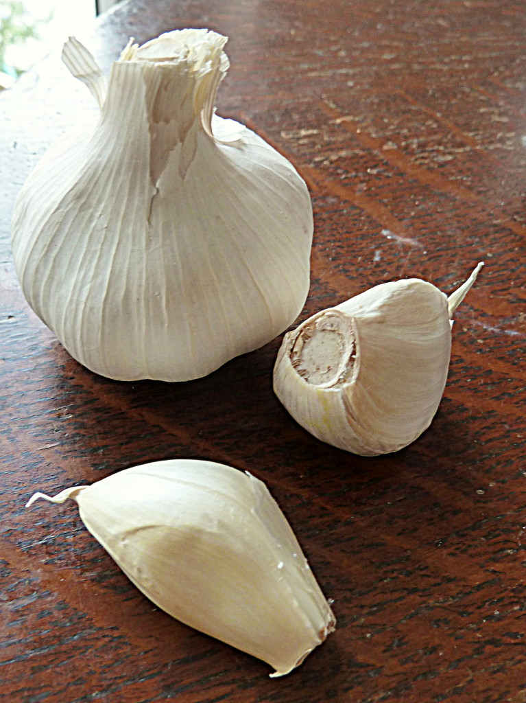 G is for garlic by boxplayer
