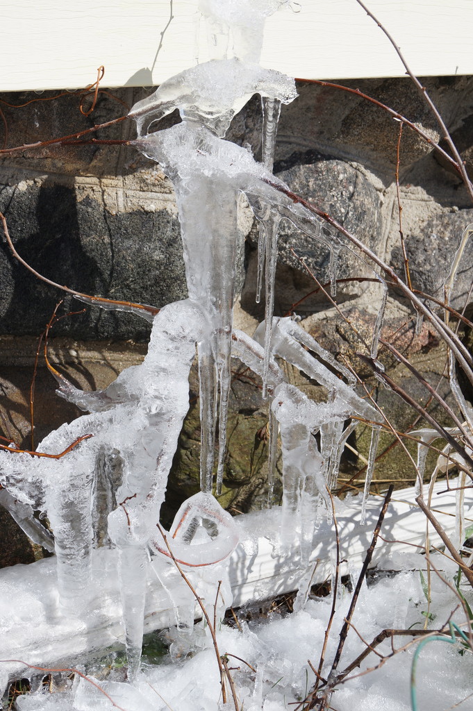 Ice Sculpture. by meotzi