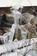 6th Apr 2016 - Ice Sculpture.