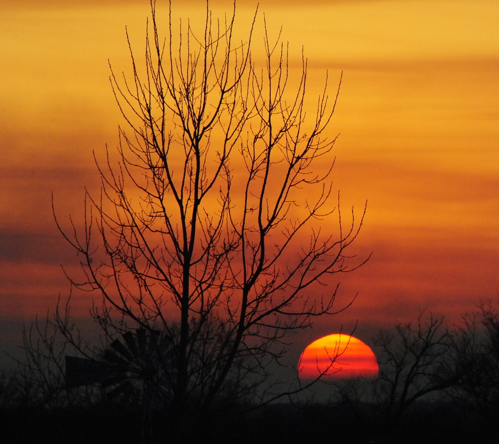 A Tangerine Sunset in Marmalade Skies by genealogygenie