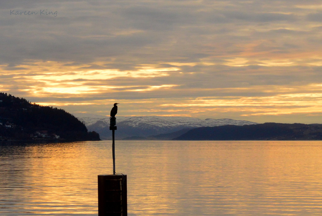 Norwegian Fjord at Sunset by kareenking
