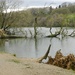 Fallen Trees beside Waterloo Lake, Leeds by fishers
