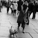 Dog Walking by emma1231
