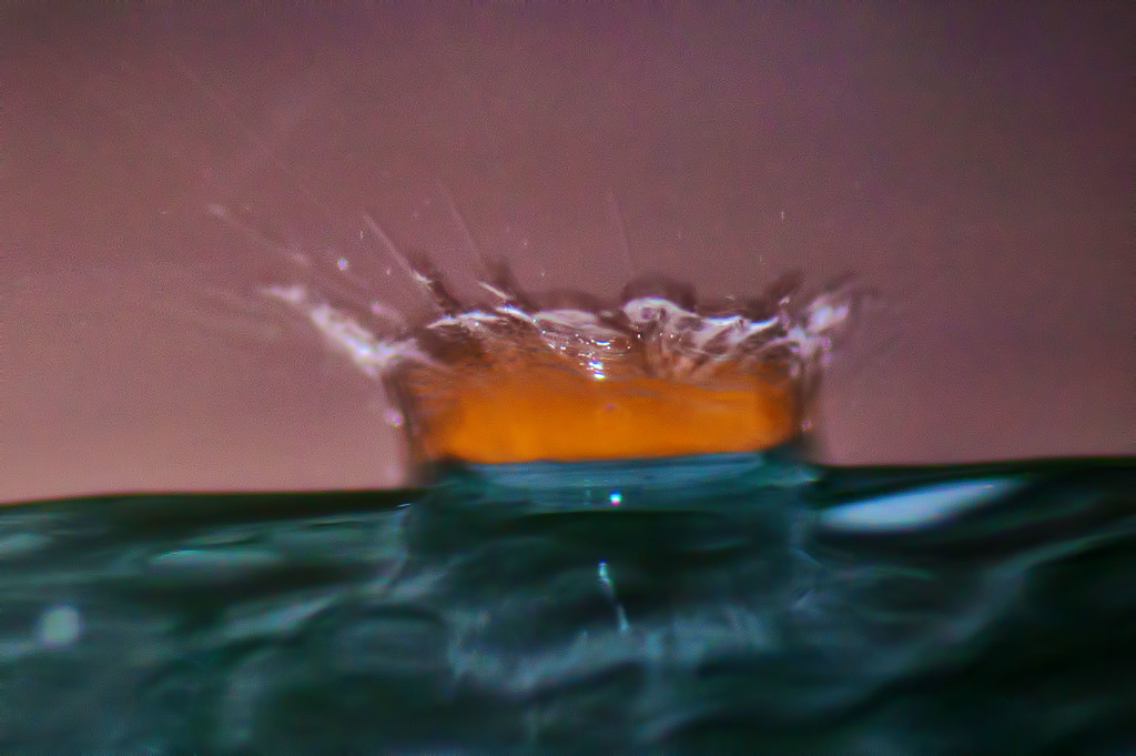 Splash! by dianen