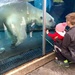 Polar bear kisses by mdoelger
