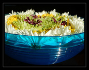 5th Apr 2016 - Blue Bowl with Floating Flowers