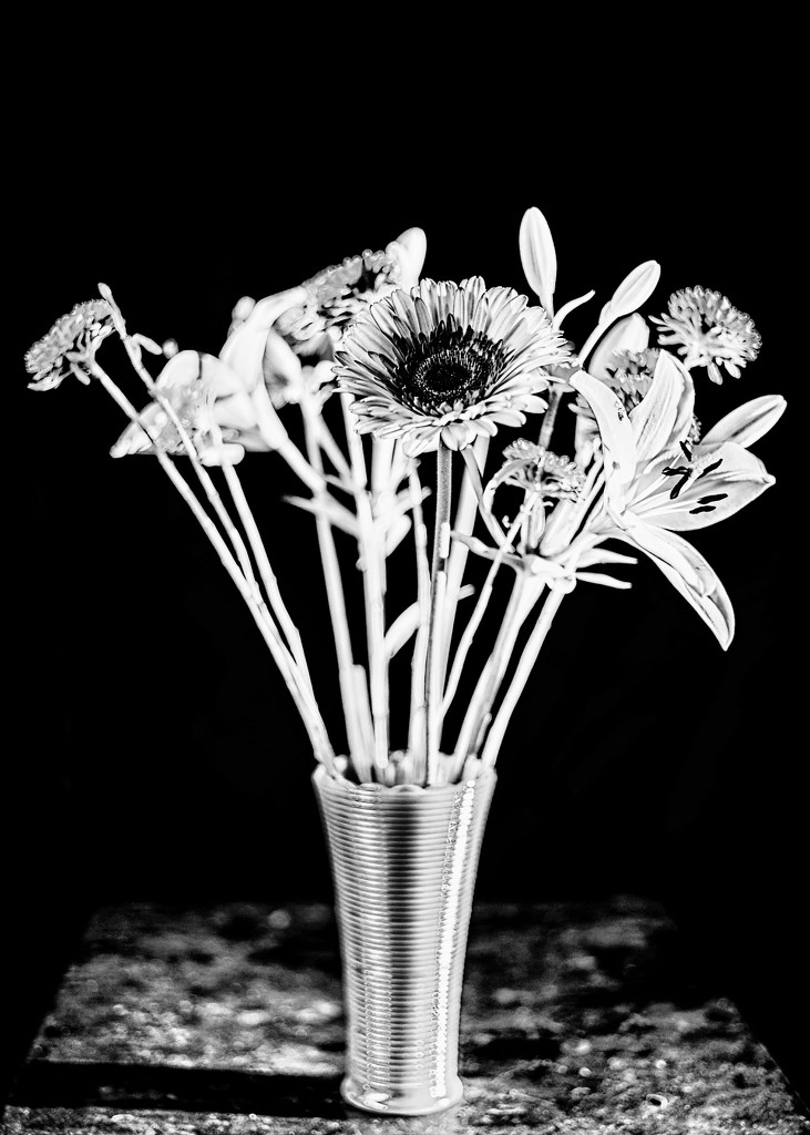 Vase and Flowers Monochrome by tosee