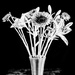Vase and Flowers Monochrome by tosee