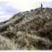 Flashback Friday#5 - Aberffraw Windswept Dunes by ajisaac