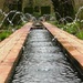 Specialist Gardens, Roundhay Park, Leeds by fishers