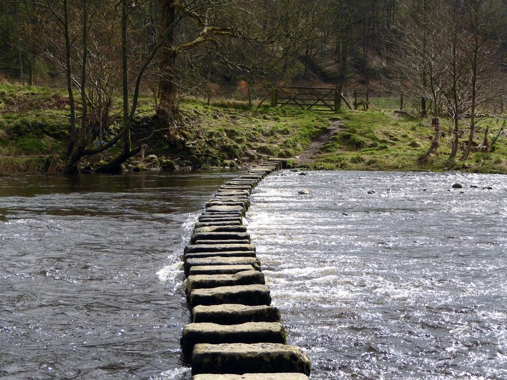 Stepping Stones at Whitewell by cmp