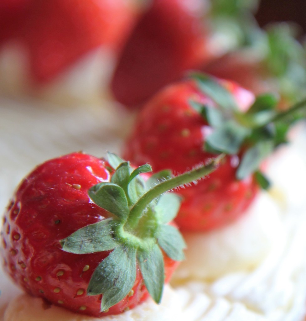Strawberries  by cookingkaren