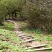 Well-worn path  by julienne1