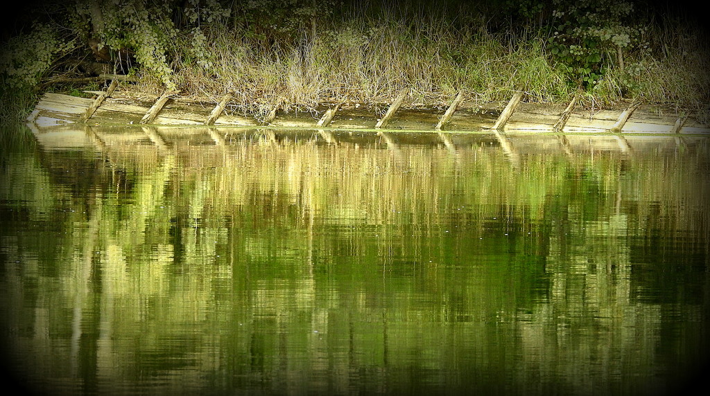 River Reflection by nickspicsnz