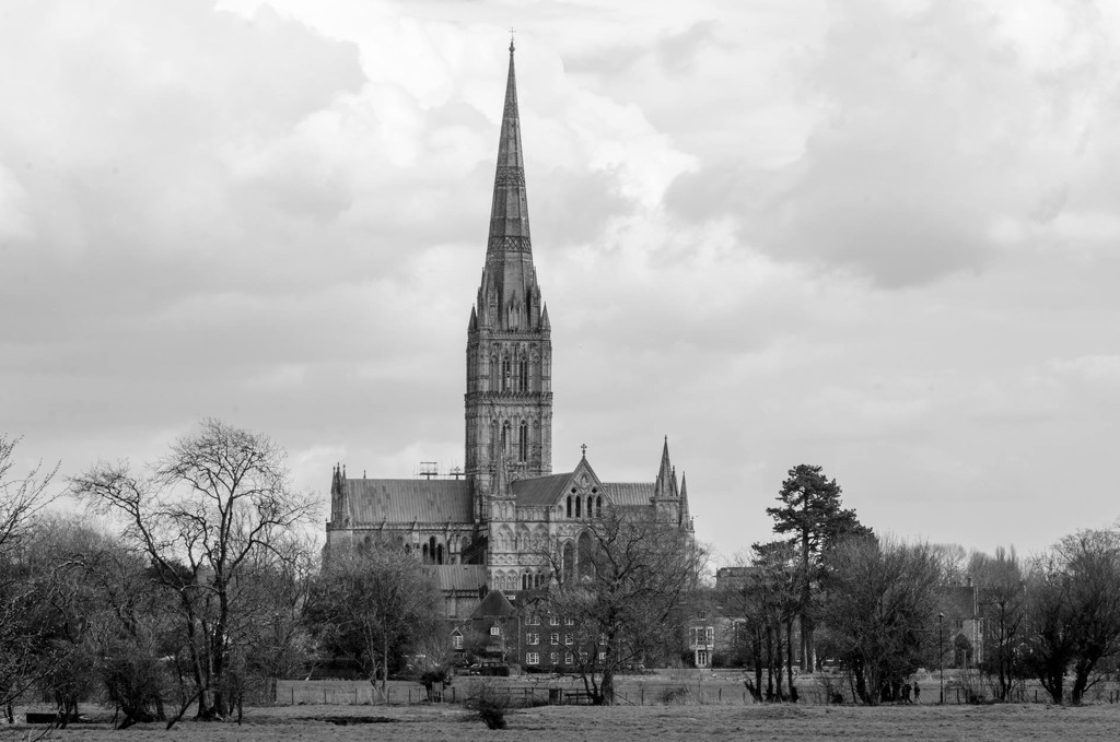 Salisbury Cathedral by barrowlane