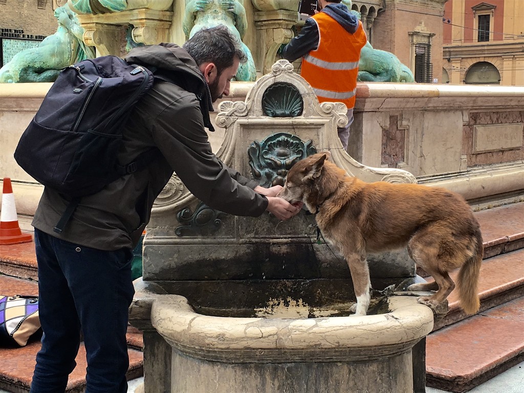 Helping a dog get a drink by jyokota