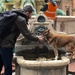 Helping a dog get a drink by jyokota