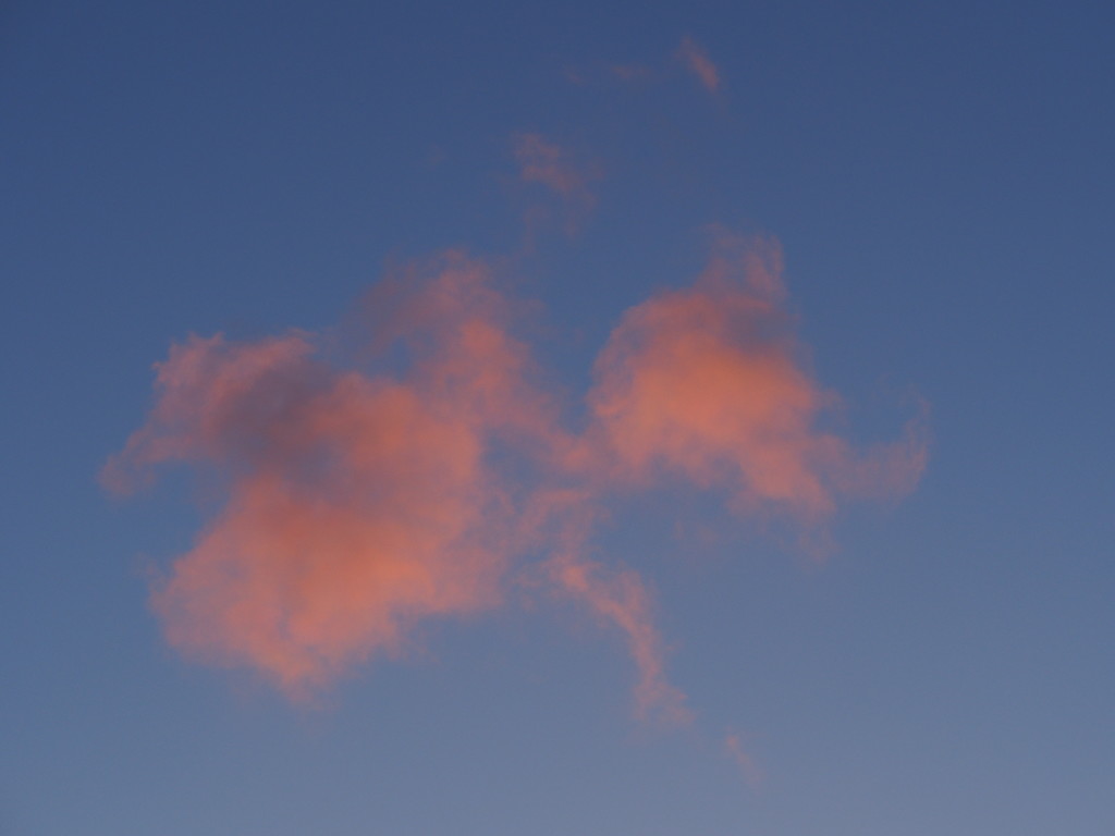 Pink Clouds by selkie