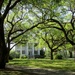 McLeod Plantation, Charleston, South Carolina by tunia