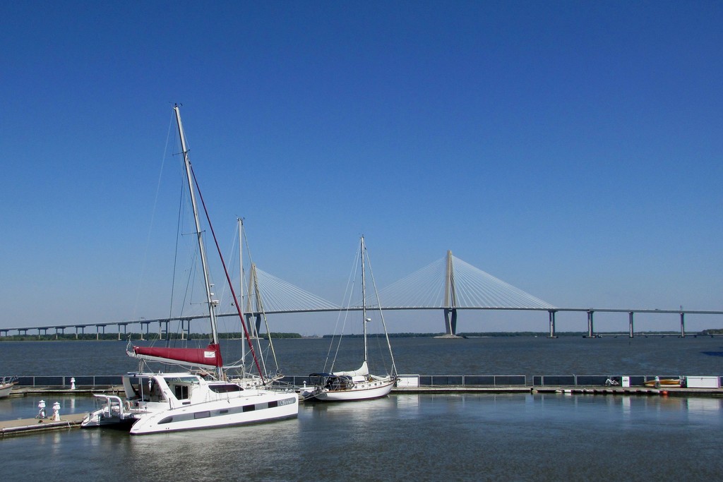 Ravenel Bridge, Charleston, South Carolina by tunia