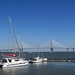 Ravenel Bridge, Charleston, South Carolina by tunia