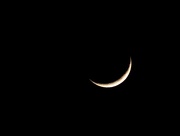 9th Apr 2016 - A Moon For Maggiemae