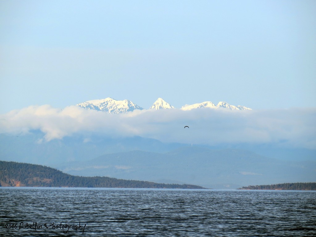 View of the Mainland by kathyo