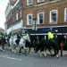 Not your regular Wycombe traffic by bulldog